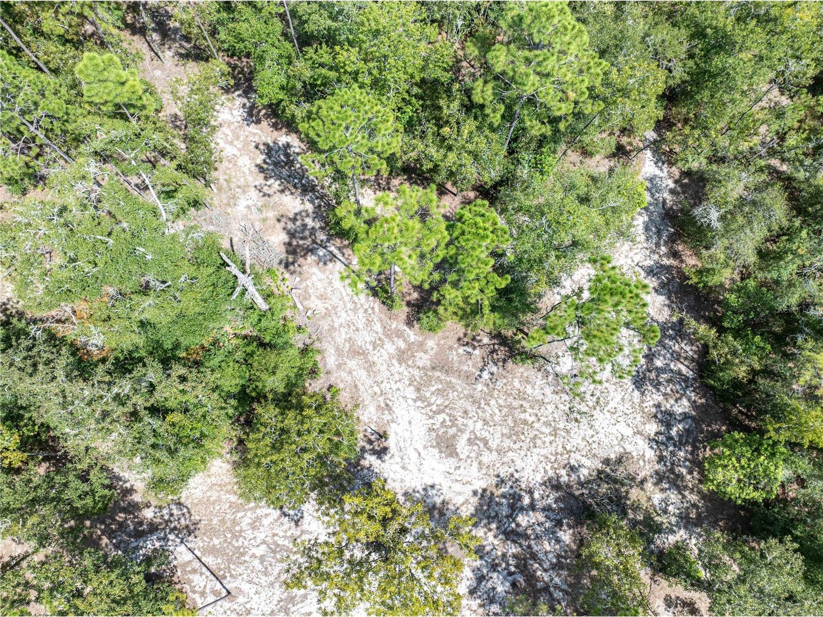 11160 NW 5th Avenue Branford FL 32008 GC539569 image67