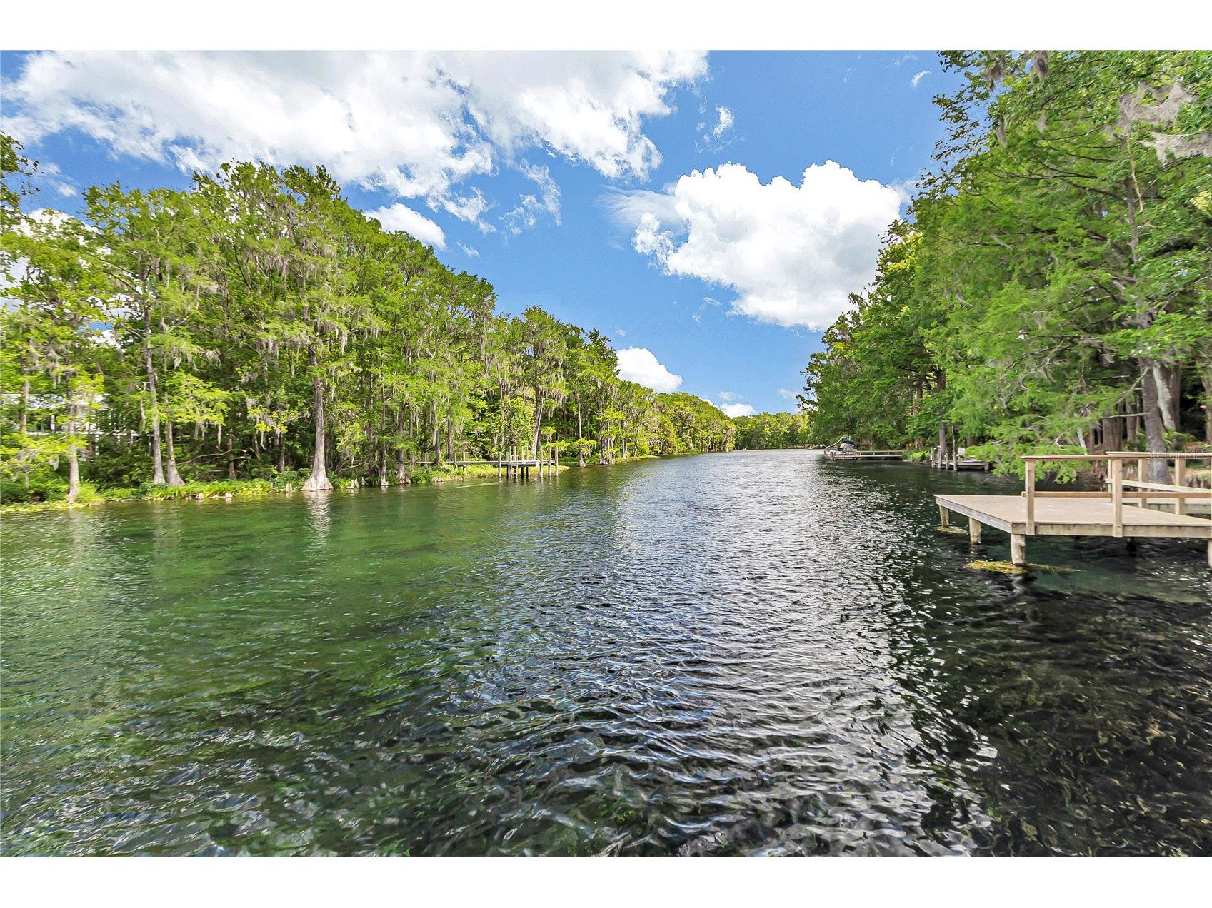11160 SW 190th Avenue Dunnellon FL 34431 OM722766 image36