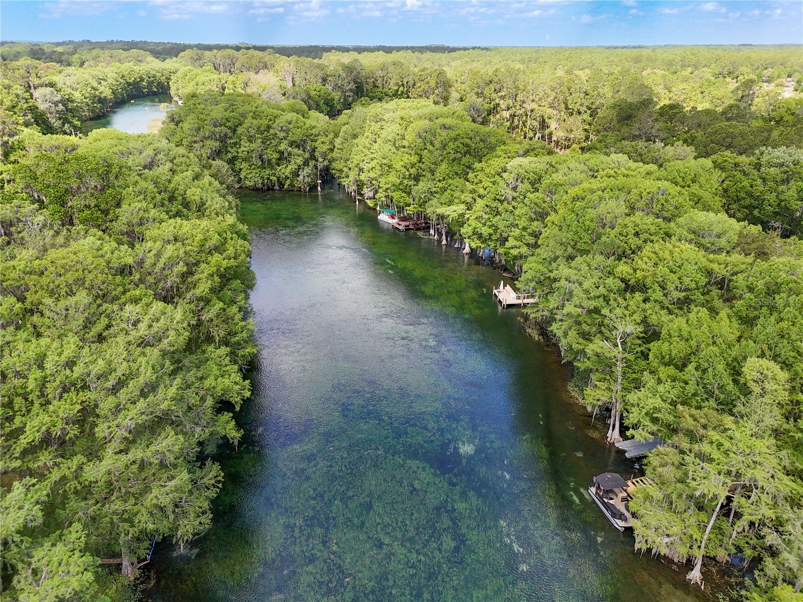 11160 SW 190th Avenue Dunnellon FL 34431 OM722766 image39
