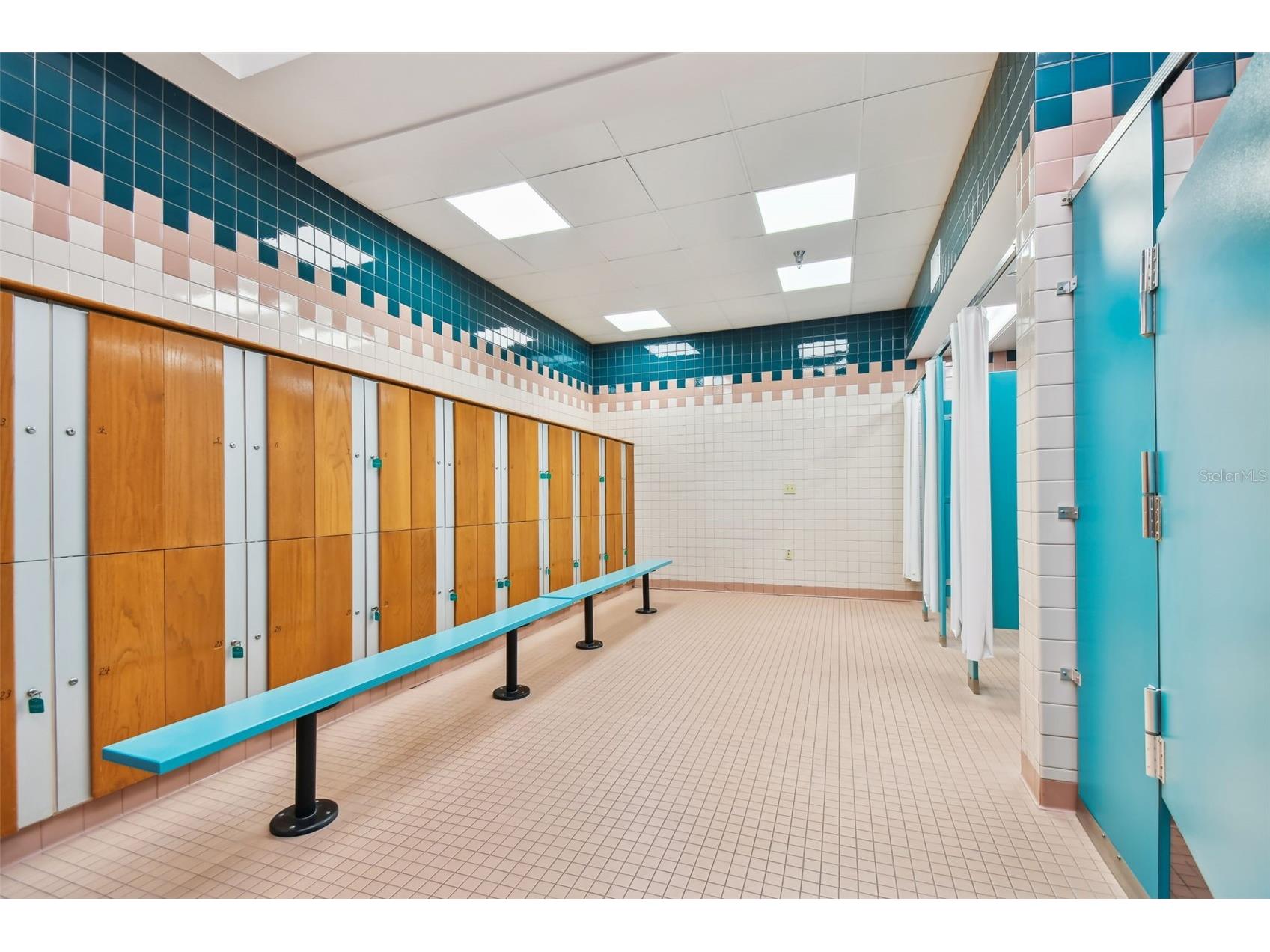 11162 Kapok Grand Circle Madeira Beach FL 33708 TB8476757 image28