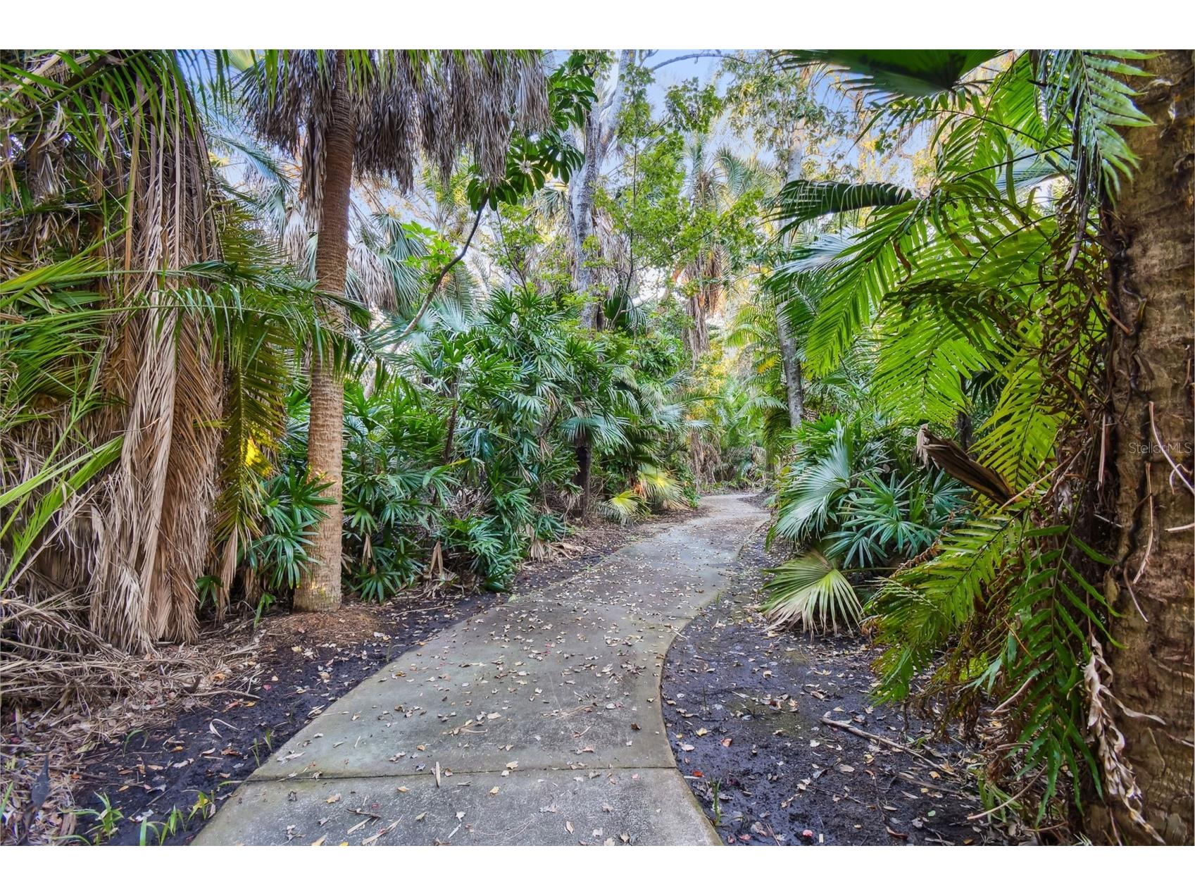 11162 Kapok Grand Circle Madeira Beach FL 33708 TB8476757 image35