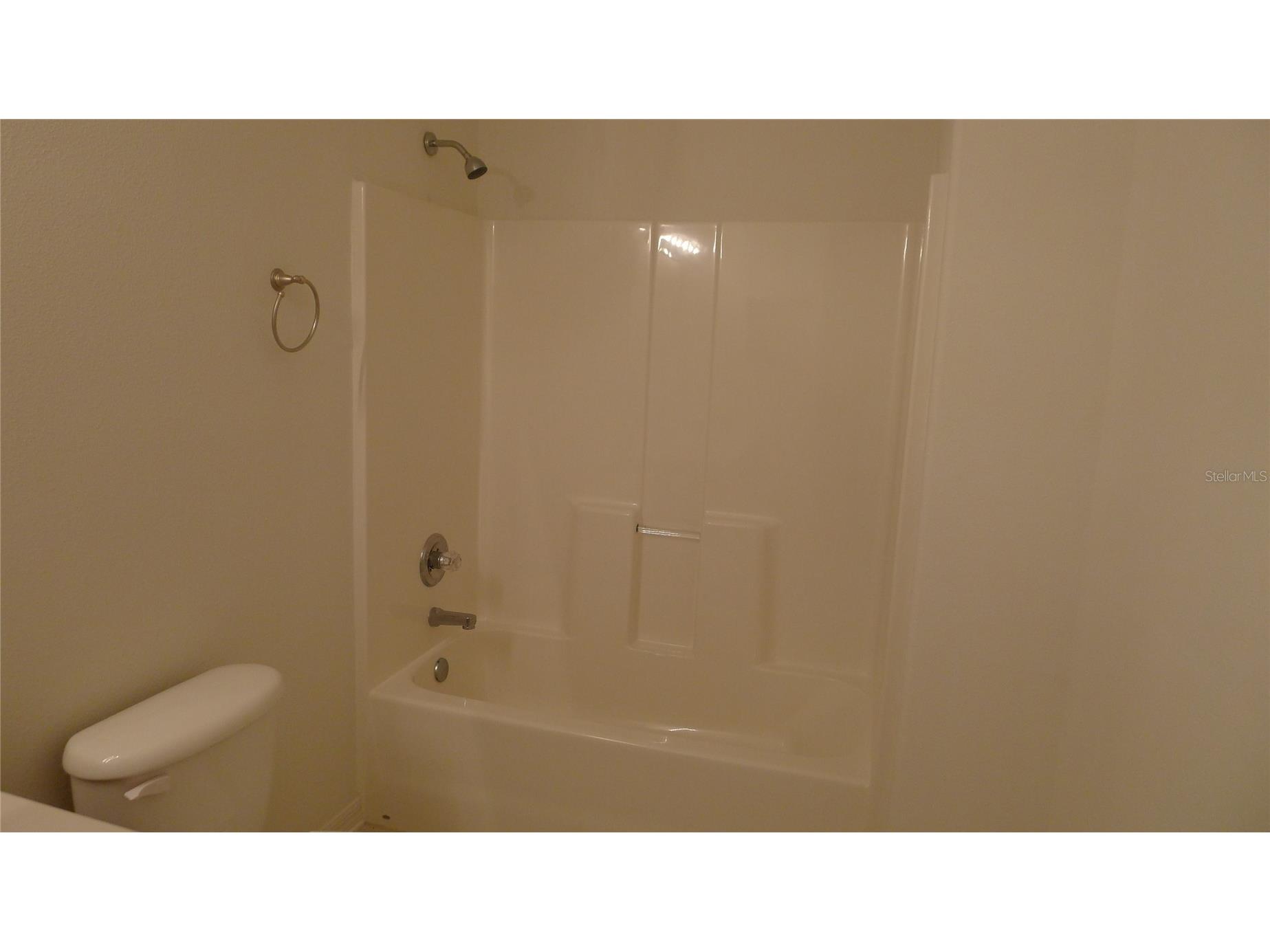 11164 Golden Silence Drive Riverview FL 33579 TB8478780 image11