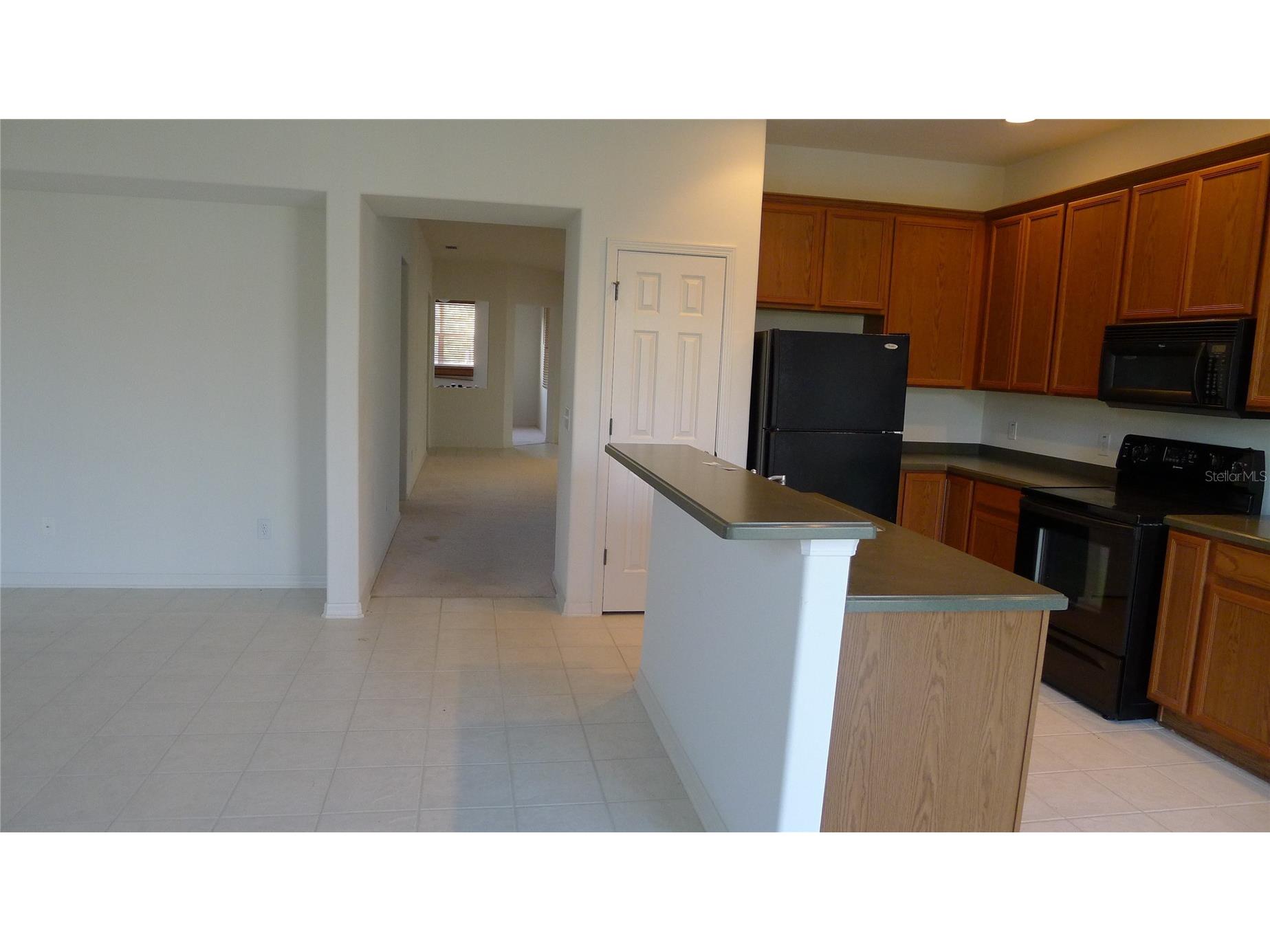 11164 Golden Silence Drive Riverview FL 33579 TB8478780 image7