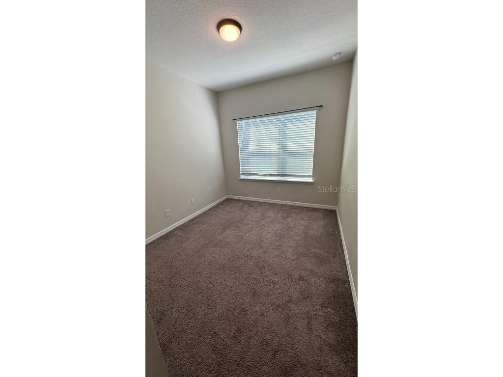 11168 Hanlon Terrace Alley Winter Garden FL 34787 O6365800 image18