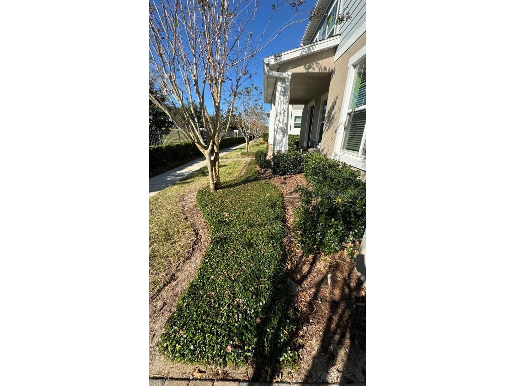 11168 Hanlon Terrace Alley Winter Garden FL 34787 O6365800 image2