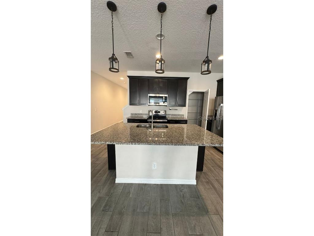 11168 Hanlon Terrace Alley Winter Garden FL 34787 O6365800 image7