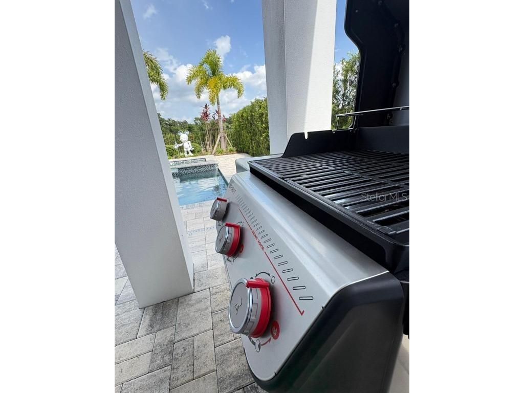 1117 Castle Pines Court Reunion FL 34747 O6338454 image42