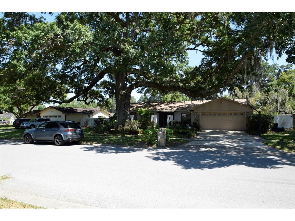 1117 Lakemont Drive Valrico FL 33594 O5983535 image1
