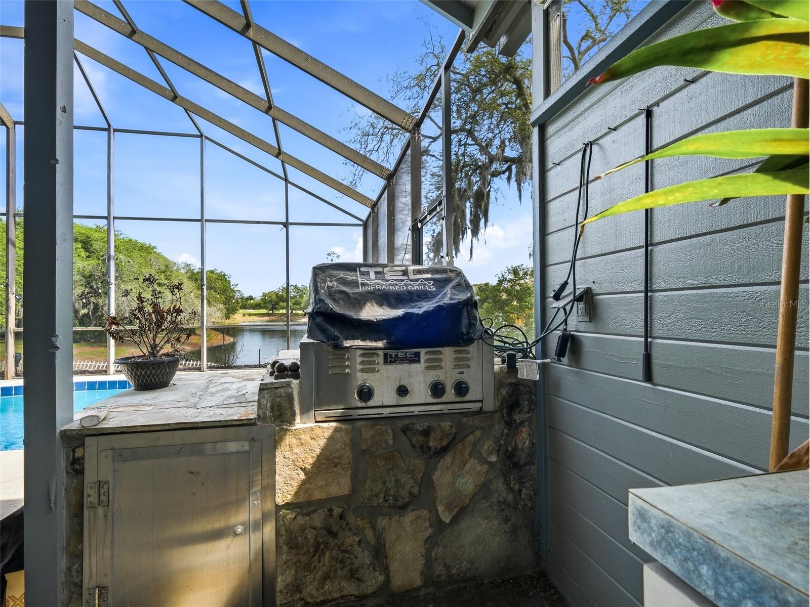 1117 Loch Linnhe Court New Smyrna Beach FL 32168 NS1087954 image54