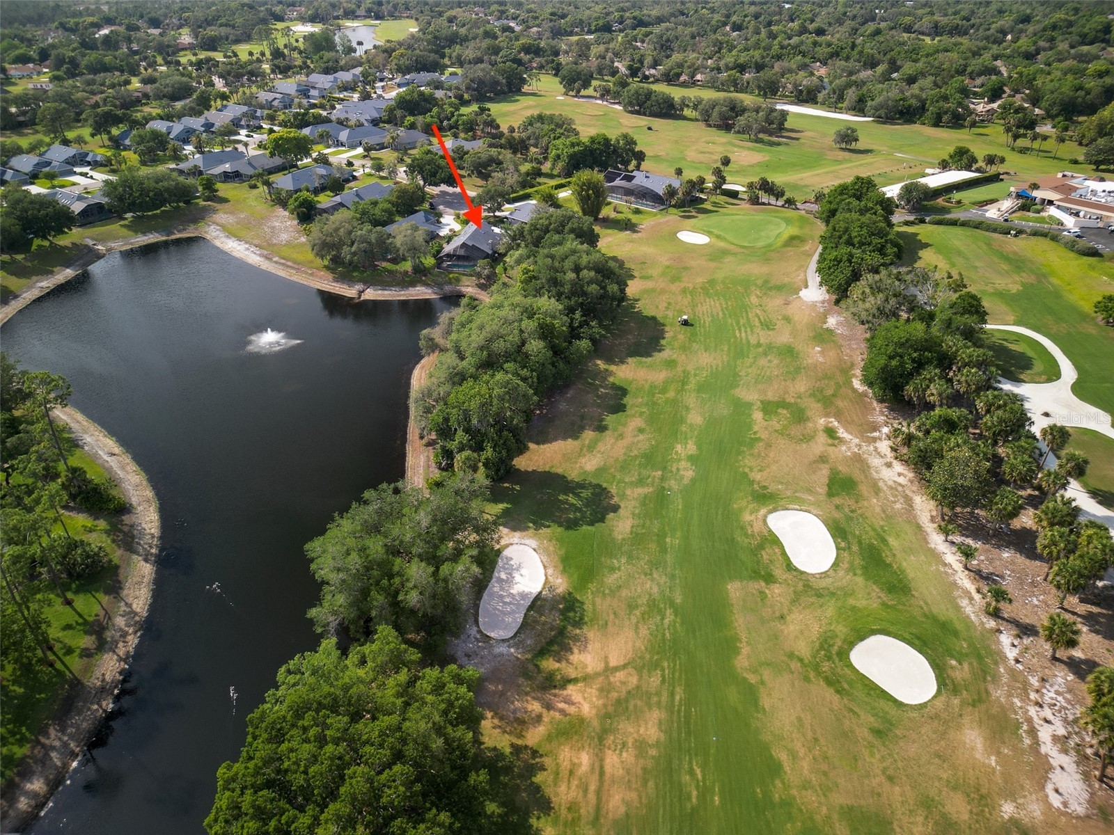 1117 Loch Linnhe Court New Smyrna Beach FL 32168 NS1087954 image66