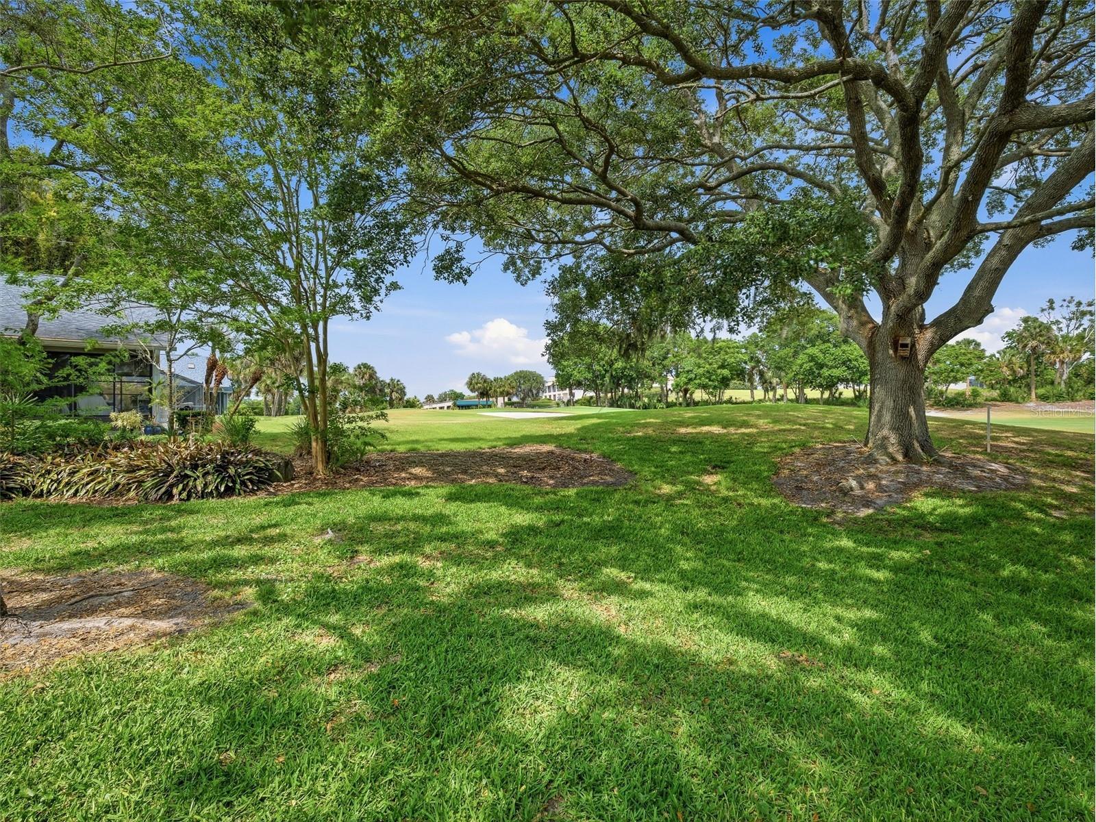 1117 Loch Linnhe Court New Smyrna Beach FL 32168 NS1087954 image9