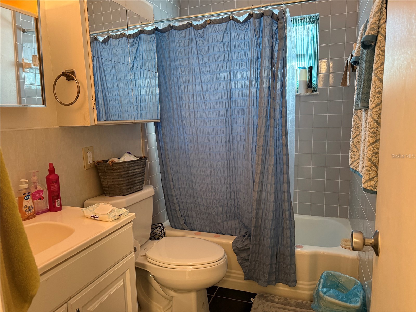 1117 Oakland Tavares FL 32778 G5100314 image16