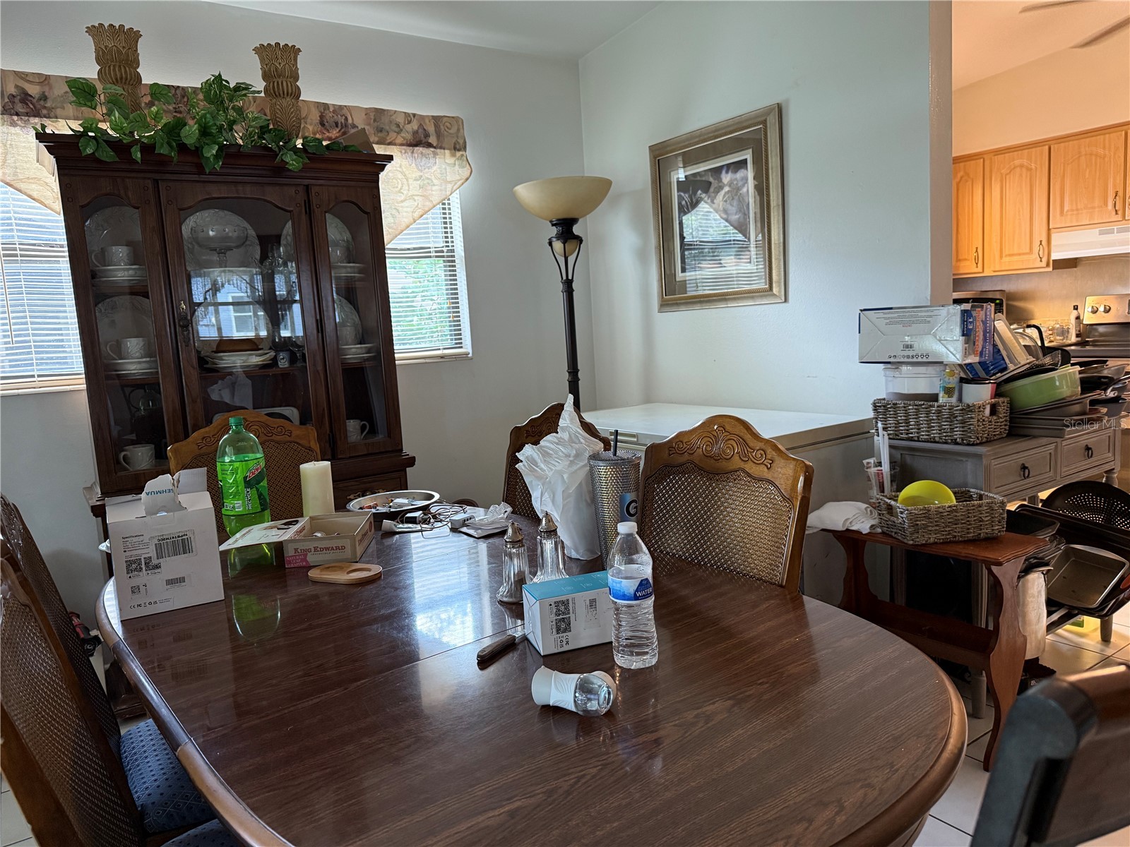 1117 Oakland Tavares FL 32778 G5100314 image5