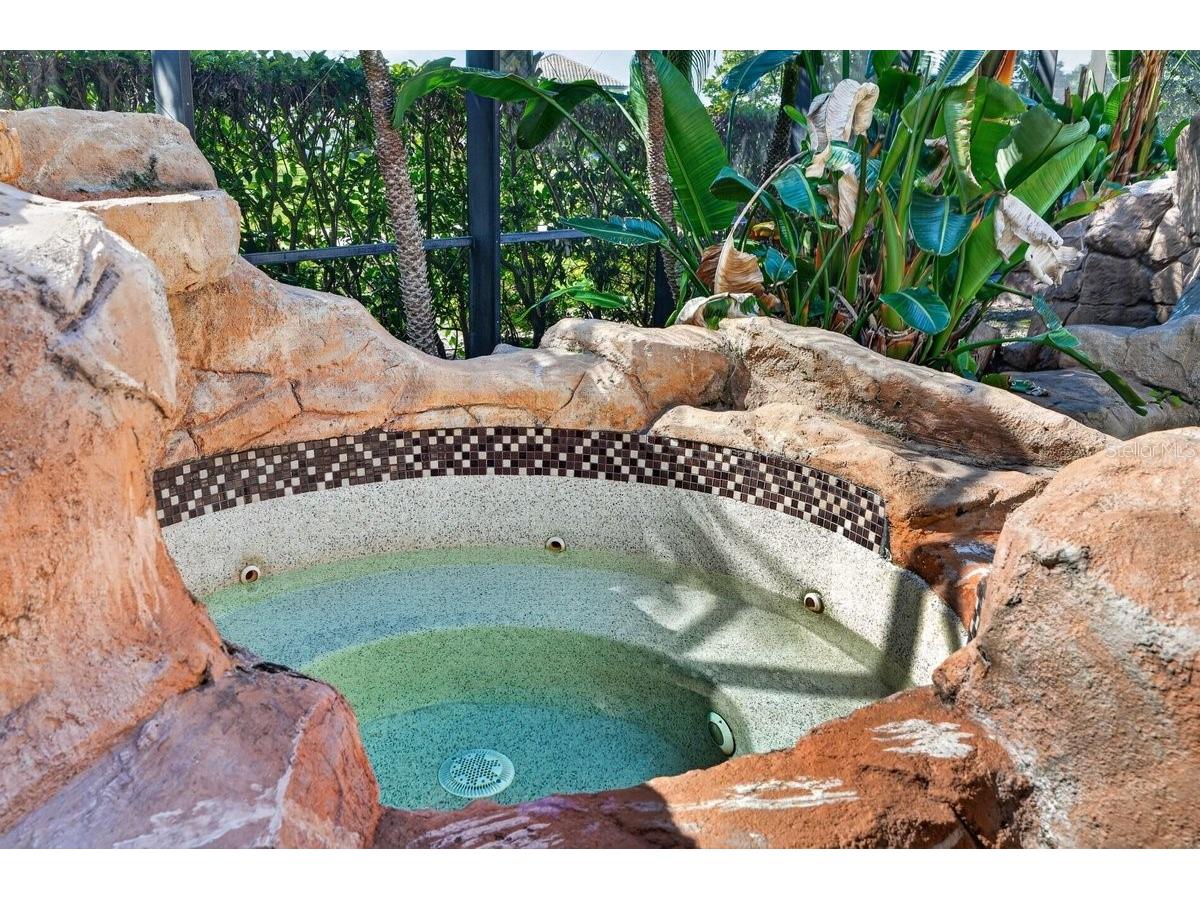 1117 Oxbridge Lane Ormond Beach FL 32174 V4949096 image65