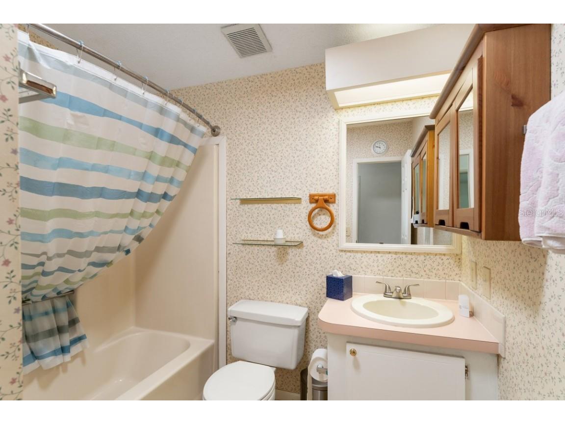 1117 Paradise Drive Lady Lake FL 32159 A4659524 image19