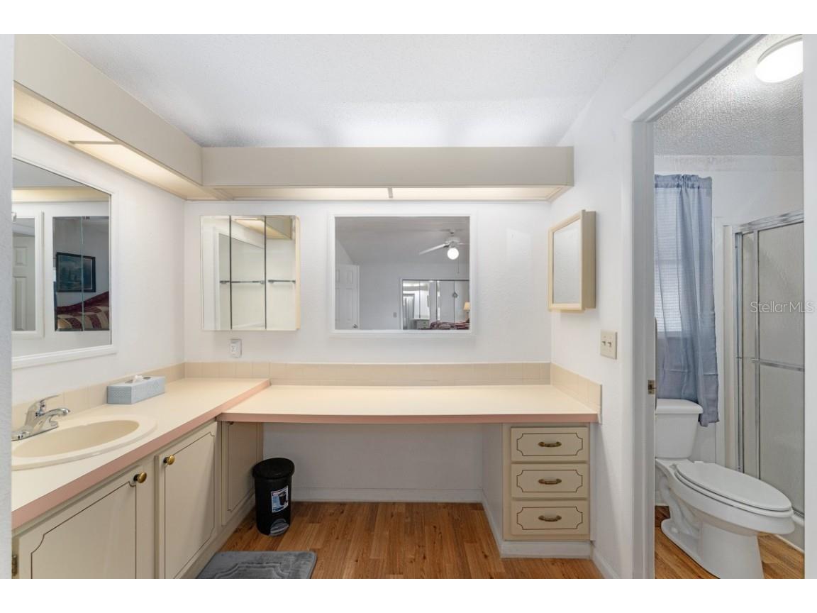 1117 Paradise Drive Lady Lake FL 32159 A4659524 image21