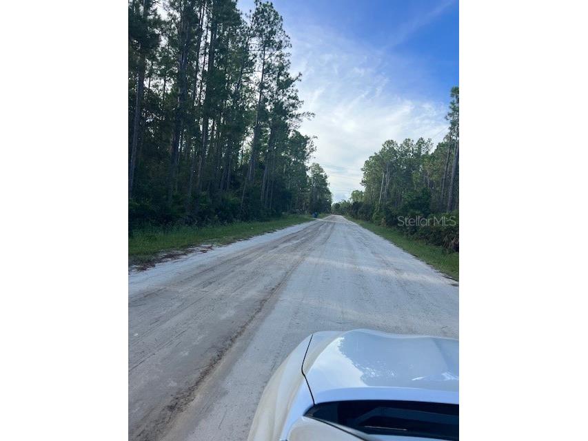 1117 Piney Woods Trail Osteen FL 32764 - SAINT JOHNS RIVER V4944764 image1