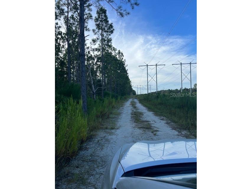 1117 Piney Woods Trail Osteen FL 32764 - SAINT JOHNS RIVER V4944764 image10