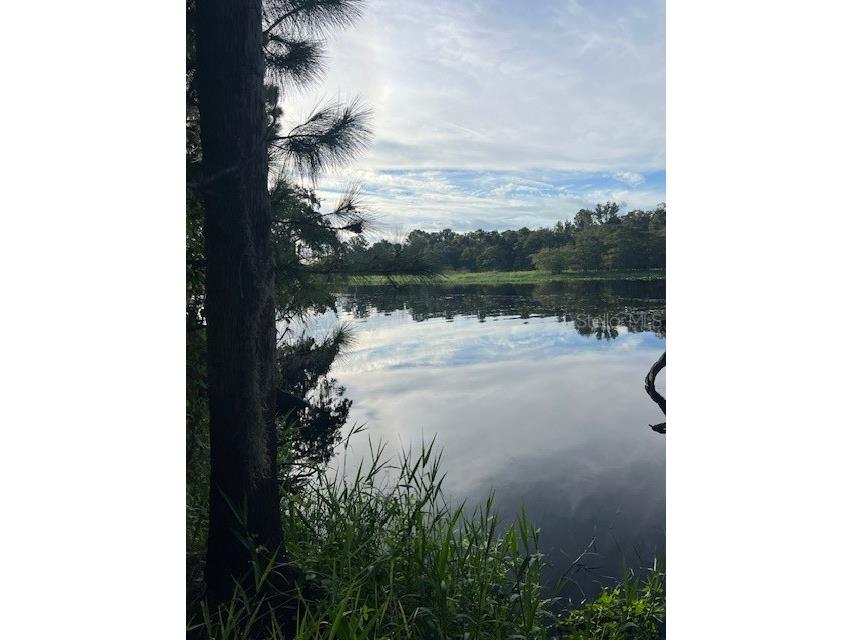 1117 Piney Woods Trail Osteen FL 32764 - SAINT JOHNS RIVER V4944764 image11