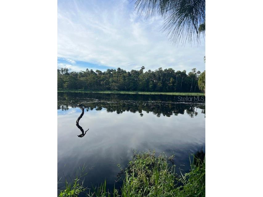 1117 Piney Woods Trail Osteen FL 32764 - SAINT JOHNS RIVER V4944764 image12