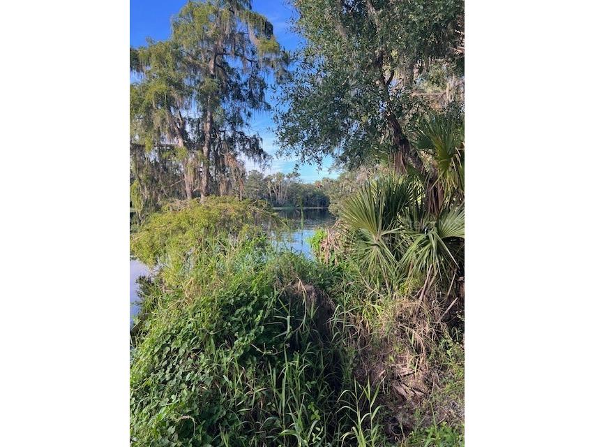 1117 Piney Woods Trail Osteen FL 32764 - SAINT JOHNS RIVER V4944764 image13
