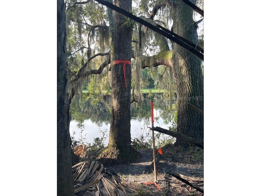 1117 Piney Woods Trail Osteen FL 32764 - SAINT JOHNS RIVER V4944764 image15