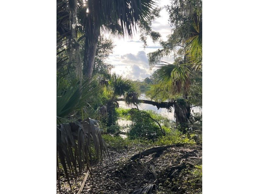 1117 Piney Woods Trail Osteen FL 32764 - SAINT JOHNS RIVER V4944764 image16