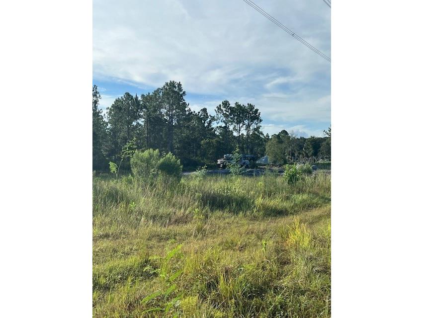 1117 Piney Woods Trail Osteen FL 32764 - SAINT JOHNS RIVER V4944764 image19