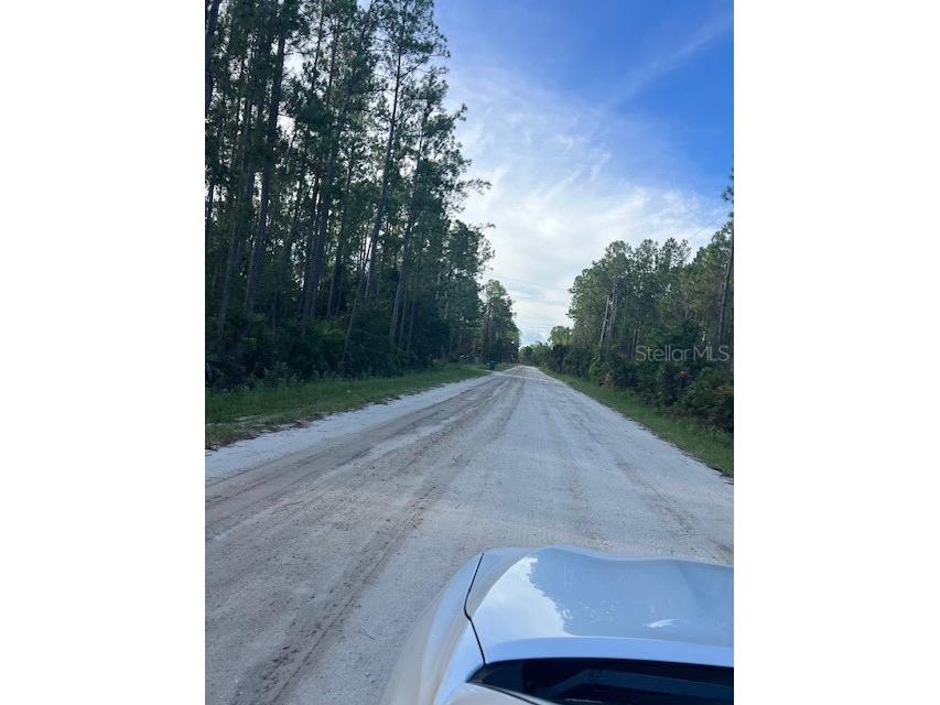 1117 Piney Woods Trail Osteen FL 32764 - SAINT JOHNS RIVER V4944764 image2