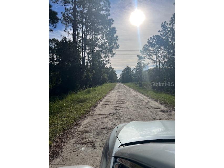 1117 Piney Woods Trail Osteen FL 32764 - SAINT JOHNS RIVER V4944764 image22