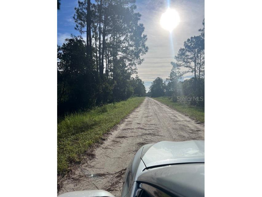 1117 Piney Woods Trail Osteen FL 32764 - SAINT JOHNS RIVER V4944764 image23