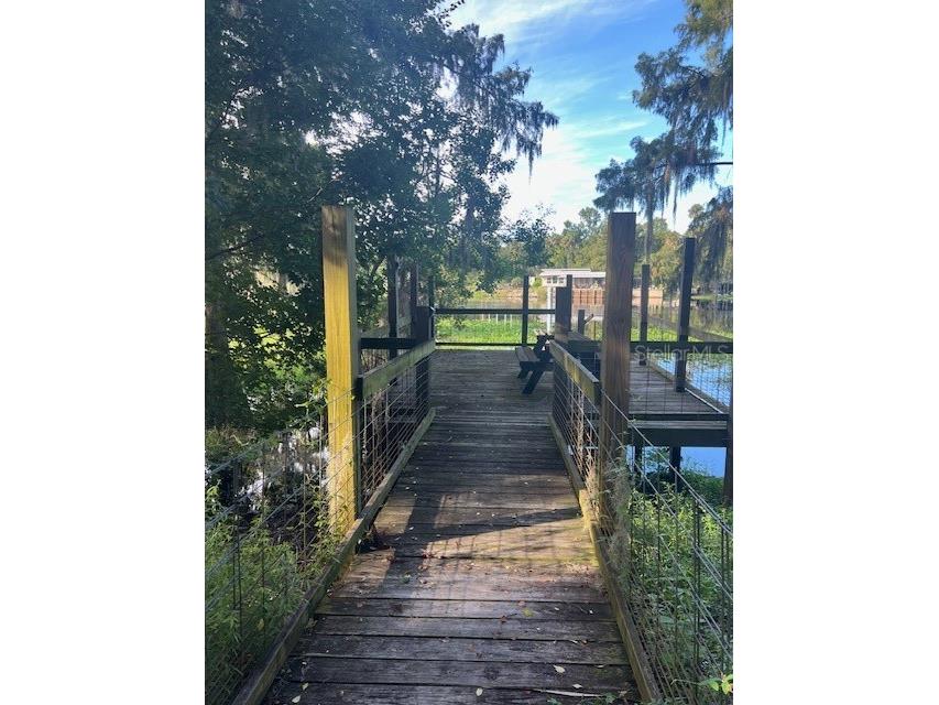 1117 Piney Woods Trail Osteen FL 32764 - SAINT JOHNS RIVER V4944764 image27