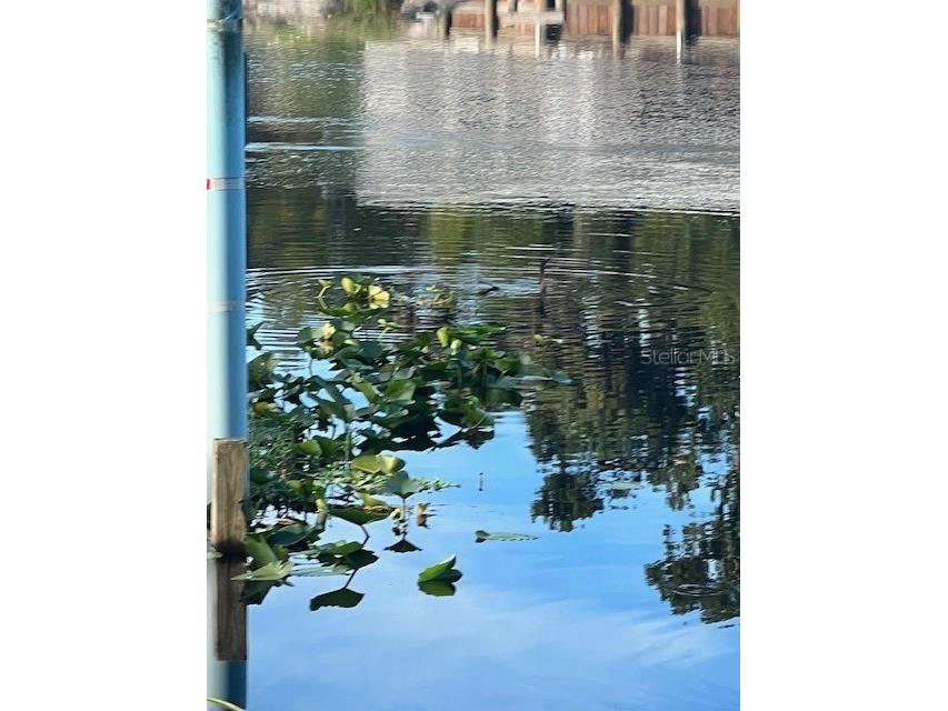 1117 Piney Woods Trail Osteen FL 32764 - SAINT JOHNS RIVER V4944764 image28