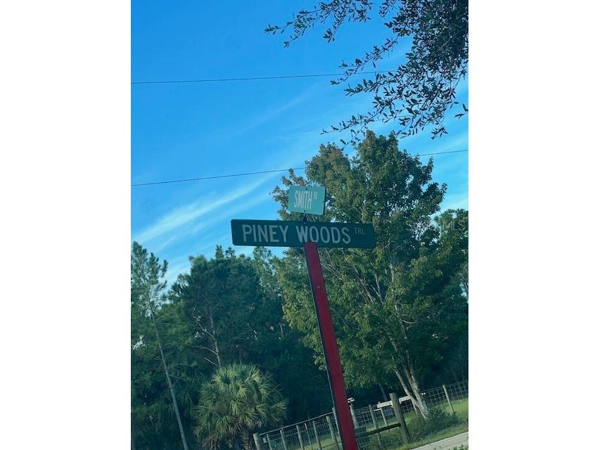 1117 Piney Woods Trail Osteen FL 32764 - SAINT JOHNS RIVER V4944764 image3