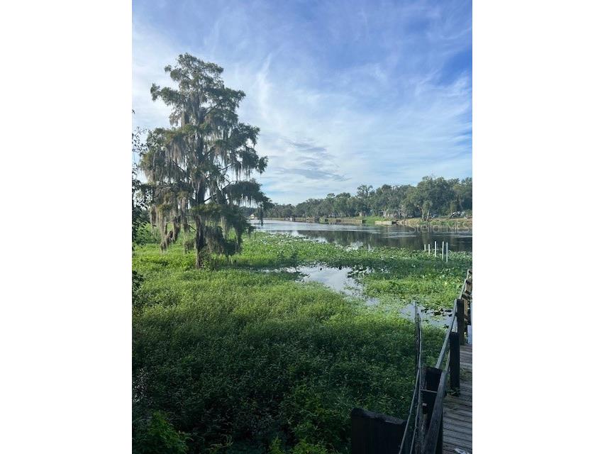 1117 Piney Woods Trail Osteen FL 32764 - SAINT JOHNS RIVER V4944764 image30