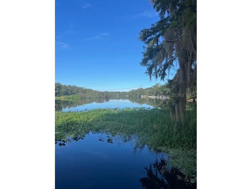 1117 Piney Woods Trail Osteen FL 32764 - SAINT JOHNS RIVER V4944764 image31