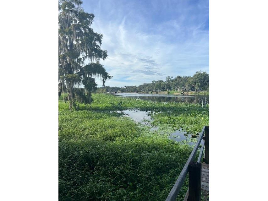 1117 Piney Woods Trail Osteen FL 32764 - SAINT JOHNS RIVER V4944764 image33