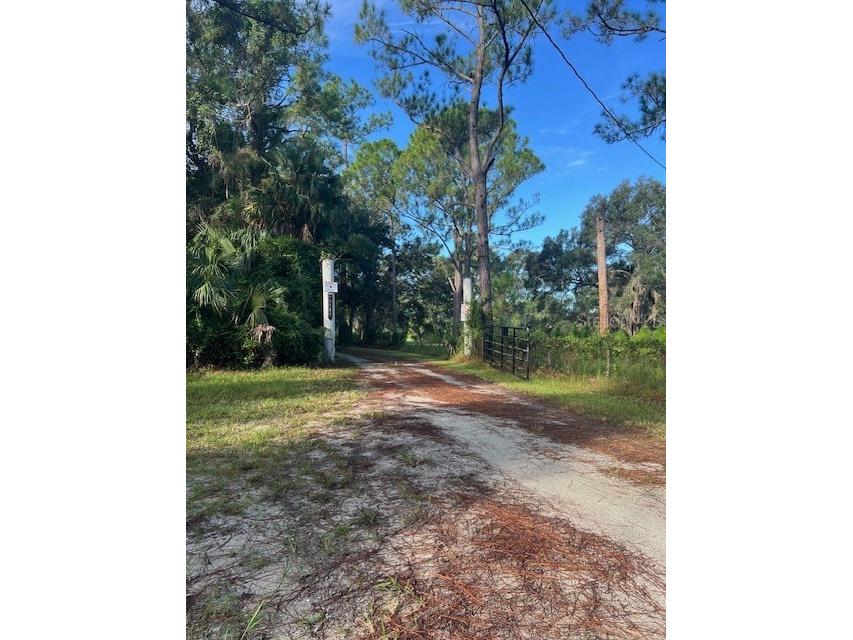 1117 Piney Woods Trail Osteen FL 32764 - SAINT JOHNS RIVER V4944764 image35