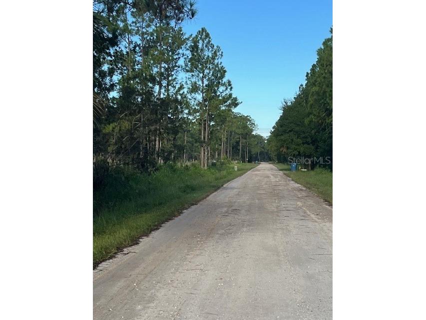 1117 Piney Woods Trail Osteen FL 32764 - SAINT JOHNS RIVER V4944764 image4