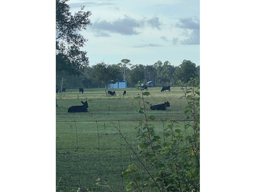 1117 Piney Woods Trail Osteen FL 32764 - SAINT JOHNS RIVER V4944764 image5