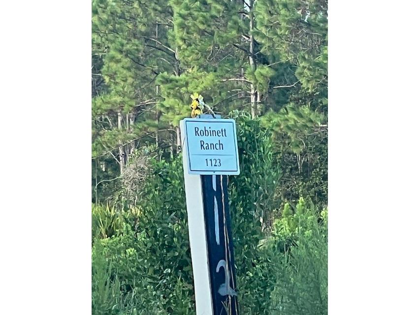 1117 Piney Woods Trail Osteen FL 32764 - SAINT JOHNS RIVER V4944764 image8