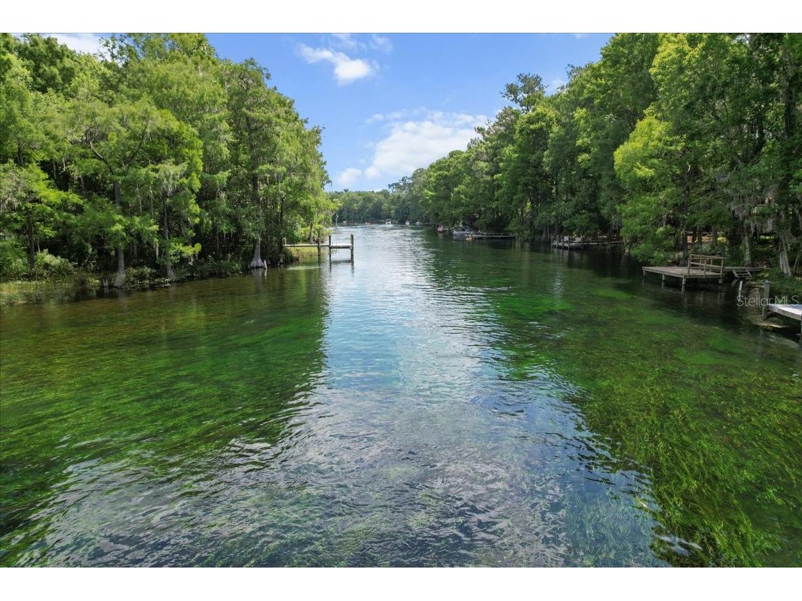 11170 SW 190th Avenue Dunnellon FL 34432 - RAINBOW RIVER OM702061 image1