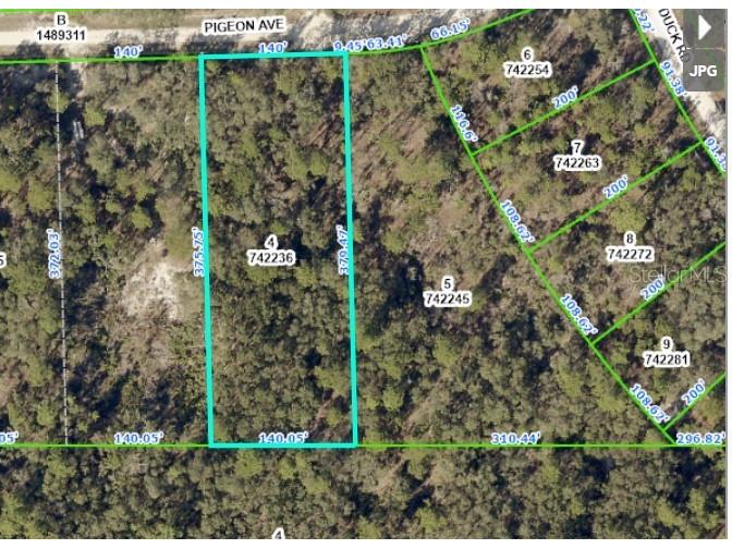 11172 Pigeon Avenue Weeki Wachee FL 34614 W7852647 image1