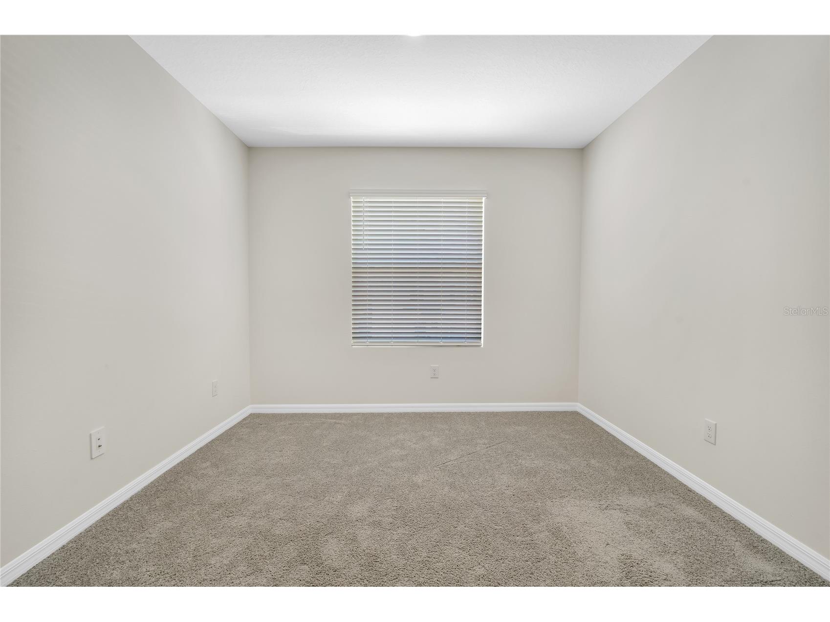 11175 Crescent Deer Drive Land O Lakes FL 34638 TB8489789 image20