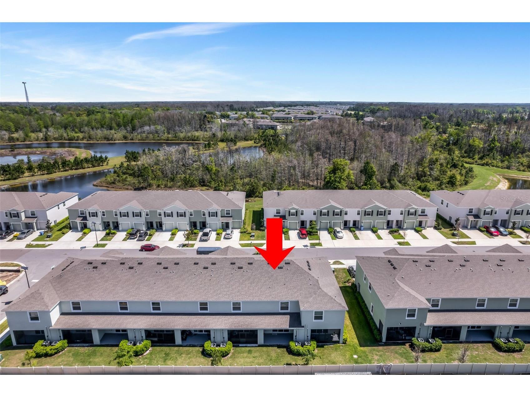 11175 Crescent Deer Drive Land O Lakes FL 34638 TB8489789 image27