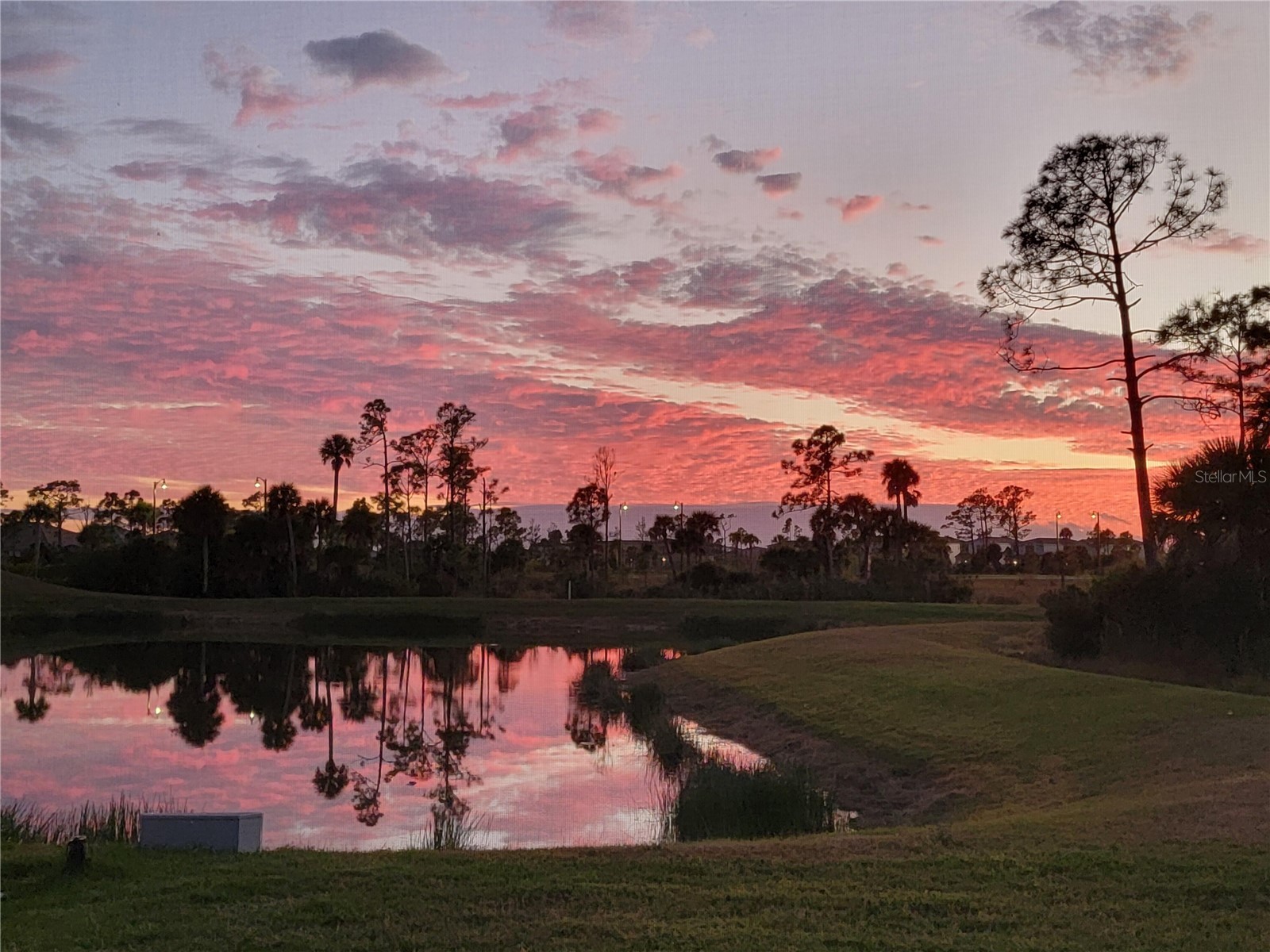 11177 Pinot Drive Venice FL 34293 O6410141 image38