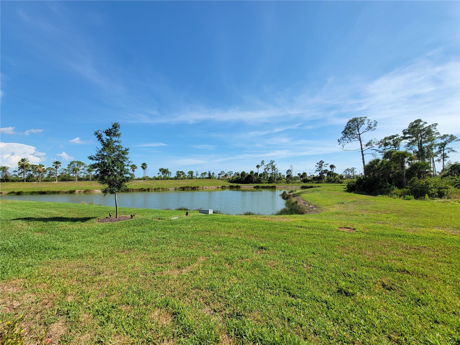 11177 Pinot Drive Venice FL 34293 O6410141 image39