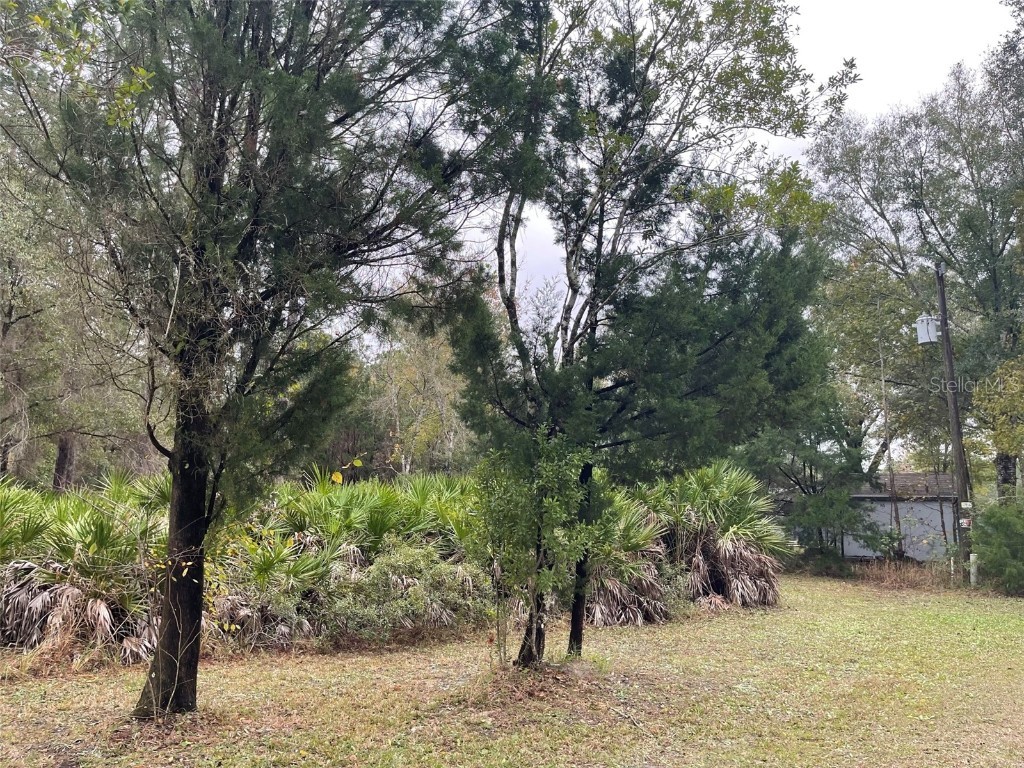 11177 S Knightswood Point Homosassa FL 34446 A4555543 image1