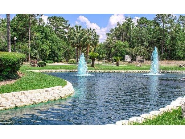 11179 SW 78th Court Ocala FL 34476 OM691855 image20