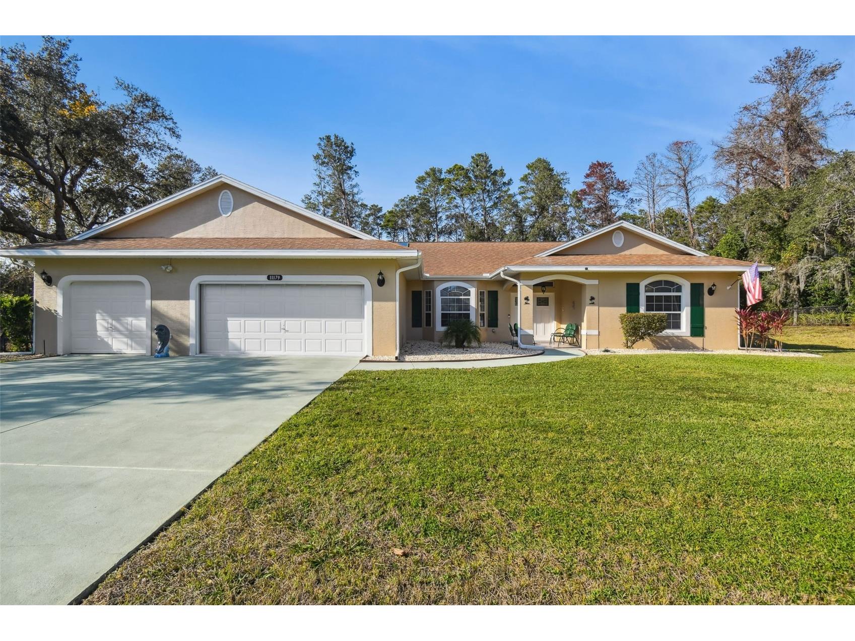 11179 Woodland Waters Boulevard Weeki Wachee FL 34613 TB8454099 image1